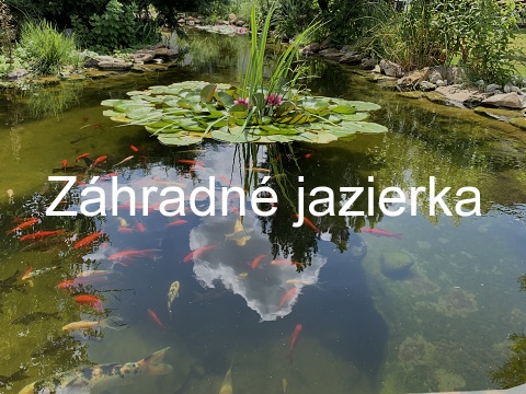 záhradné jazierko, zahradne jazierko, záhradné jazirka, zahradne jazierka