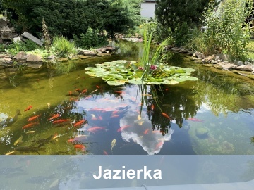 záhradné jazierko