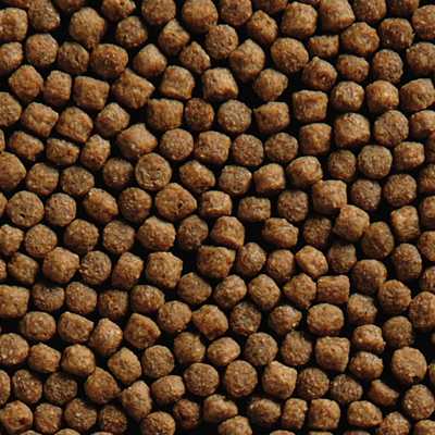 Krmivo pre Koi  kapre Wheat Germ 10L/4300g, frakcia 3mm | ROSSY.sk