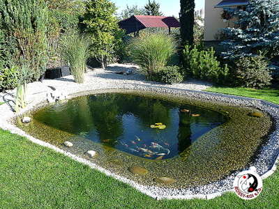Záhradné jazierko s rybami v Leviciach.