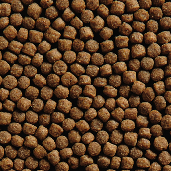 Krmivo pre Koi kapre Wheat Germ 3L / 1350g, frakcia 3mm | ROSSY.sk
