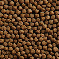 Krmivo pre Koi  kapre Wheat Germ 3mm 1 kg | ROSSY.sk