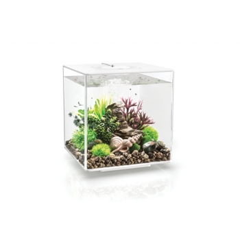 BiOrb akvárium CUBE MCR 30 biela | ROSSY.sk