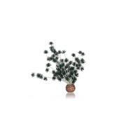 BiOrb umelá rastlina do akvária Bonsai čierna | ROSSY.sk